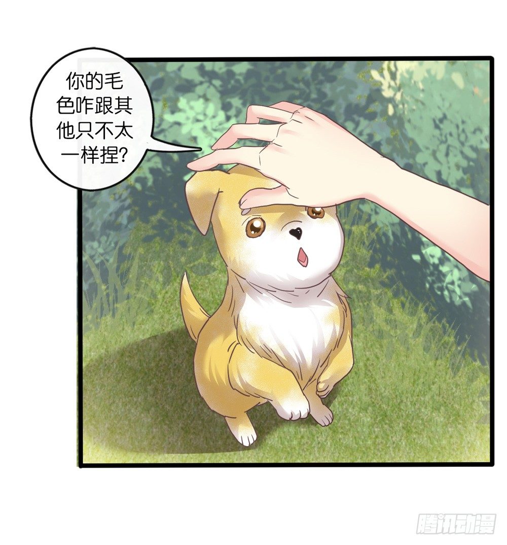 18、转角遇见谁 第 11 页