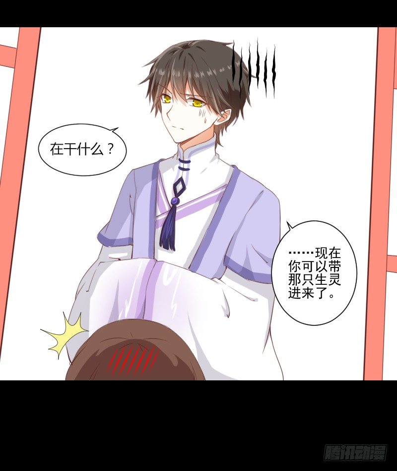 解决办法 第 11 页