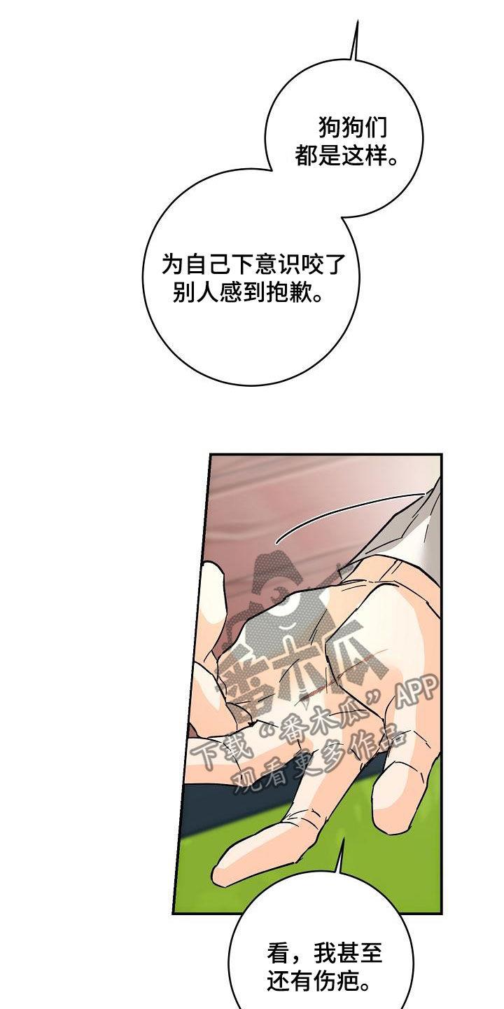 第112话 一起养狗 第 14 页