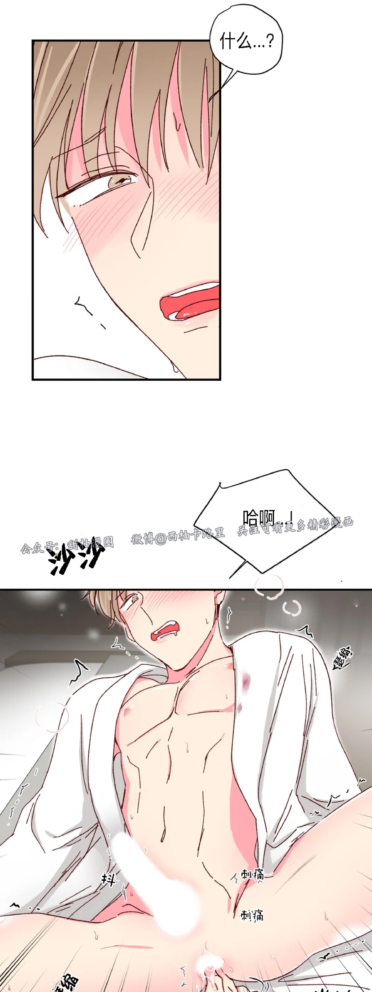 第19话 第 15 页
