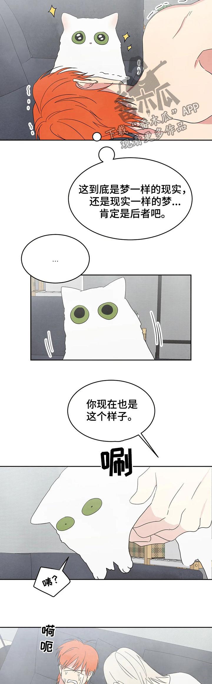 第25话 坦诚一点 第 7 页