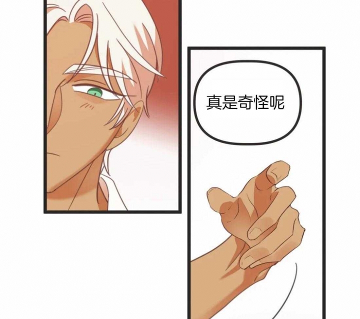 第213话 第213话 第 38 页