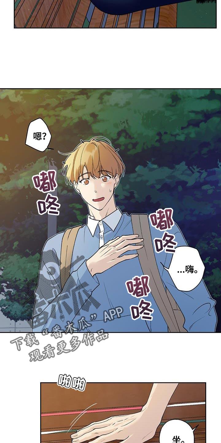 第43话 是我弄的 第 8 页