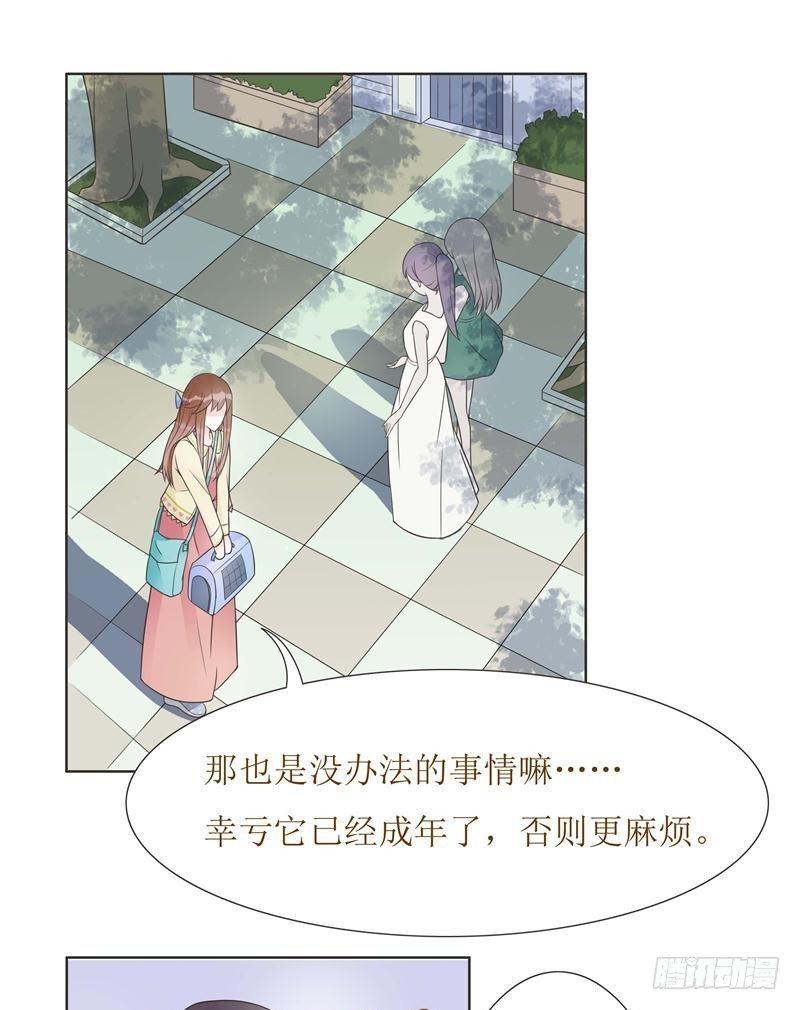第06话 第 4 页