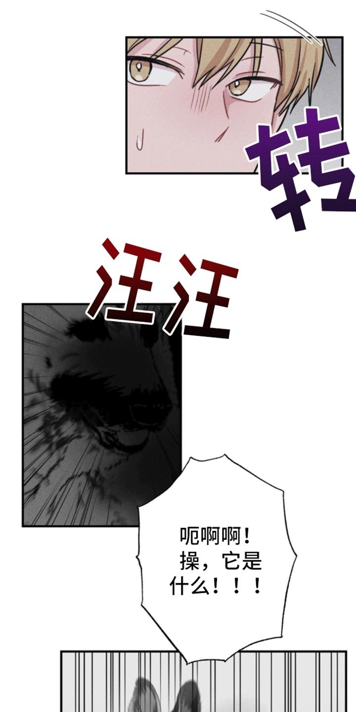 第20话 重新被抓 第 15 页