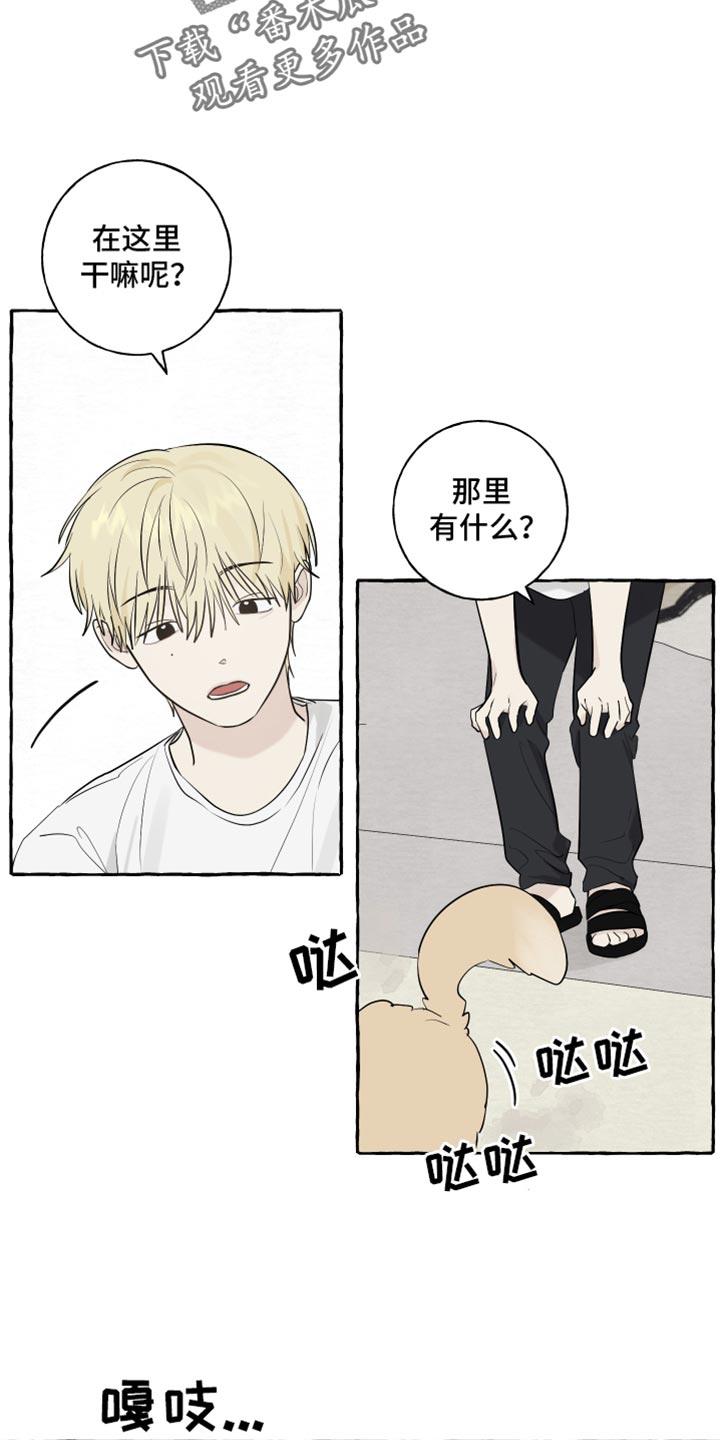 第52话 【第二季】晒被子 第 9 页