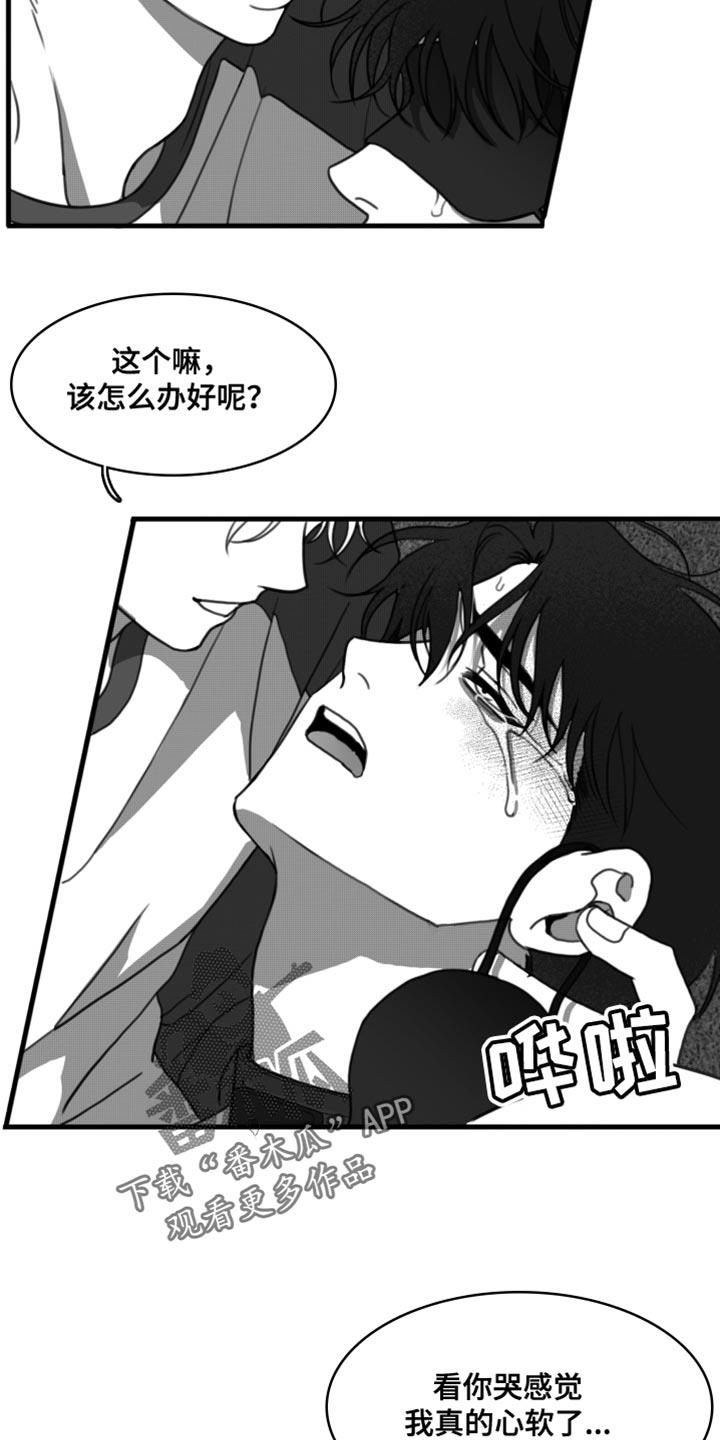 第44话 我原谅你了 第 14 页