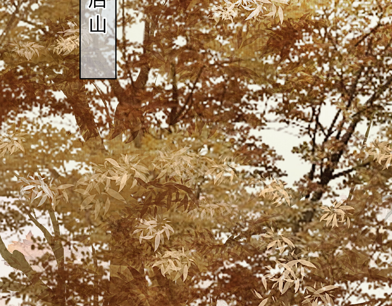 第31话 误会吃醋 第 38 页