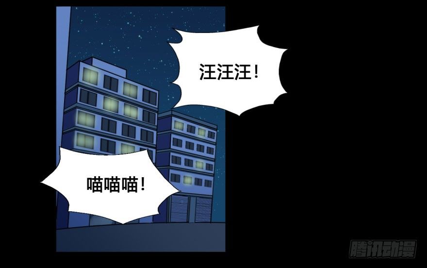37 任务no.5另一个殷柴（三 第 15 页