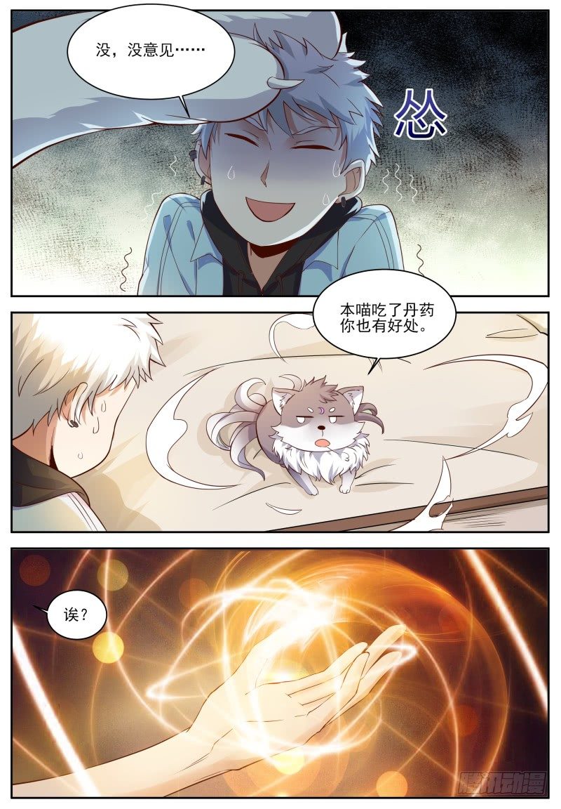 第5话 喵哥也记仇！ 第 5 页