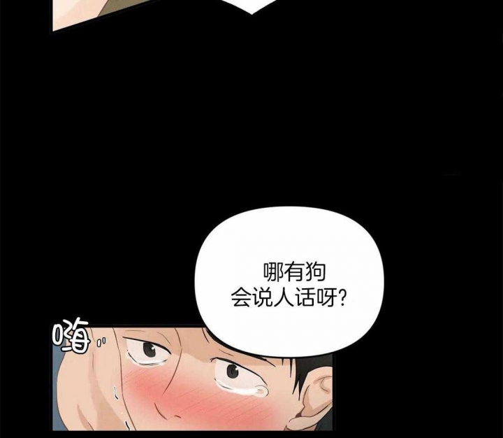 第87话 不像 第 13 页
