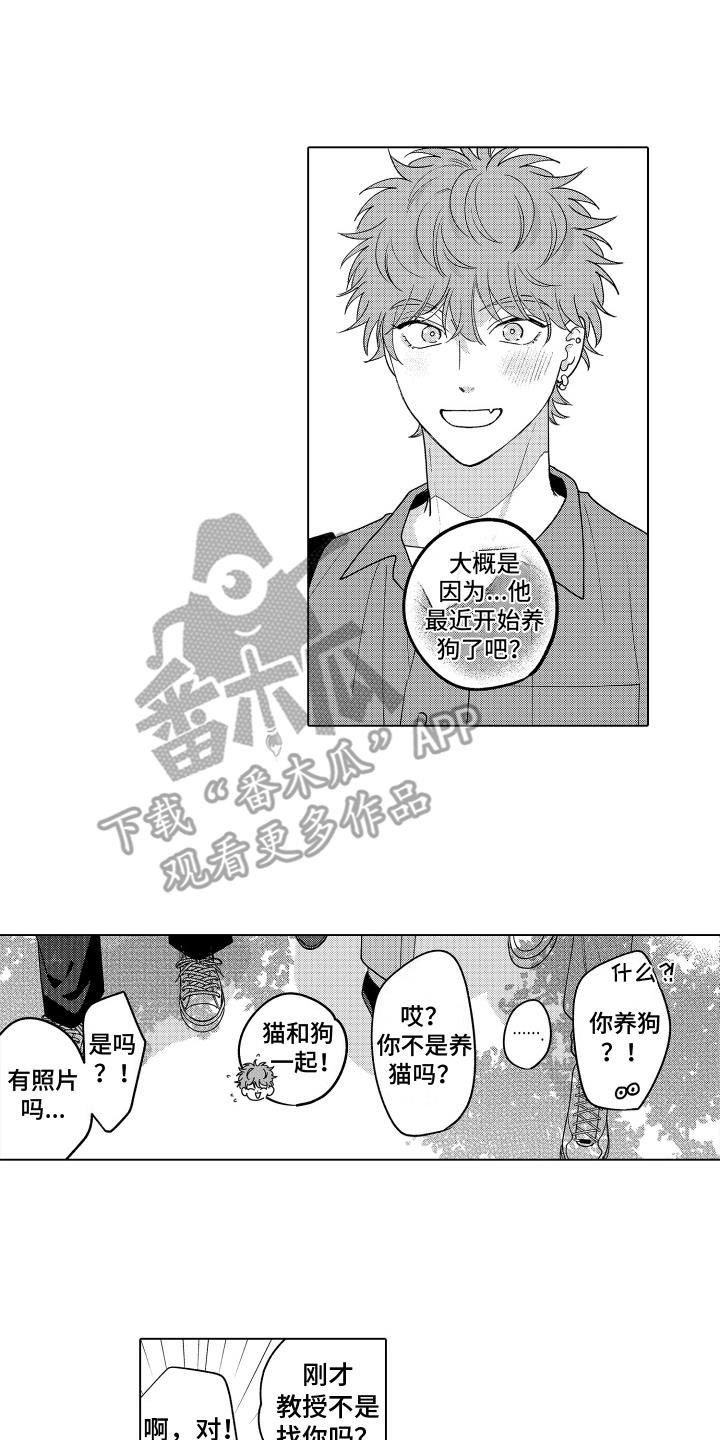 第28话 特别的小家伙 第 9 页