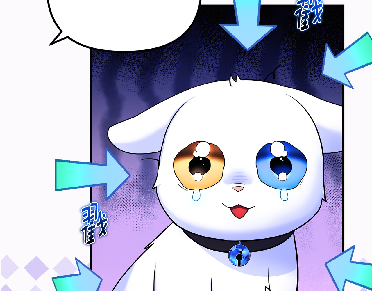 第6话 把猫大人留在身边 第 211 页