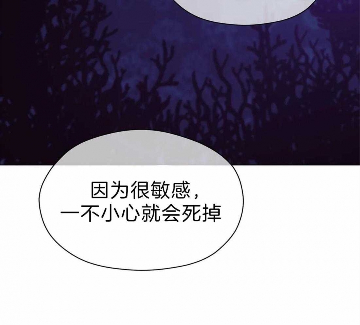 第75话 第75话 第 33 页