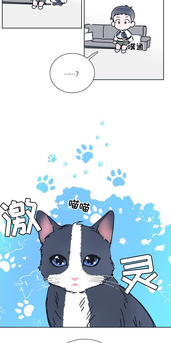 第6话 很像 第 4 页