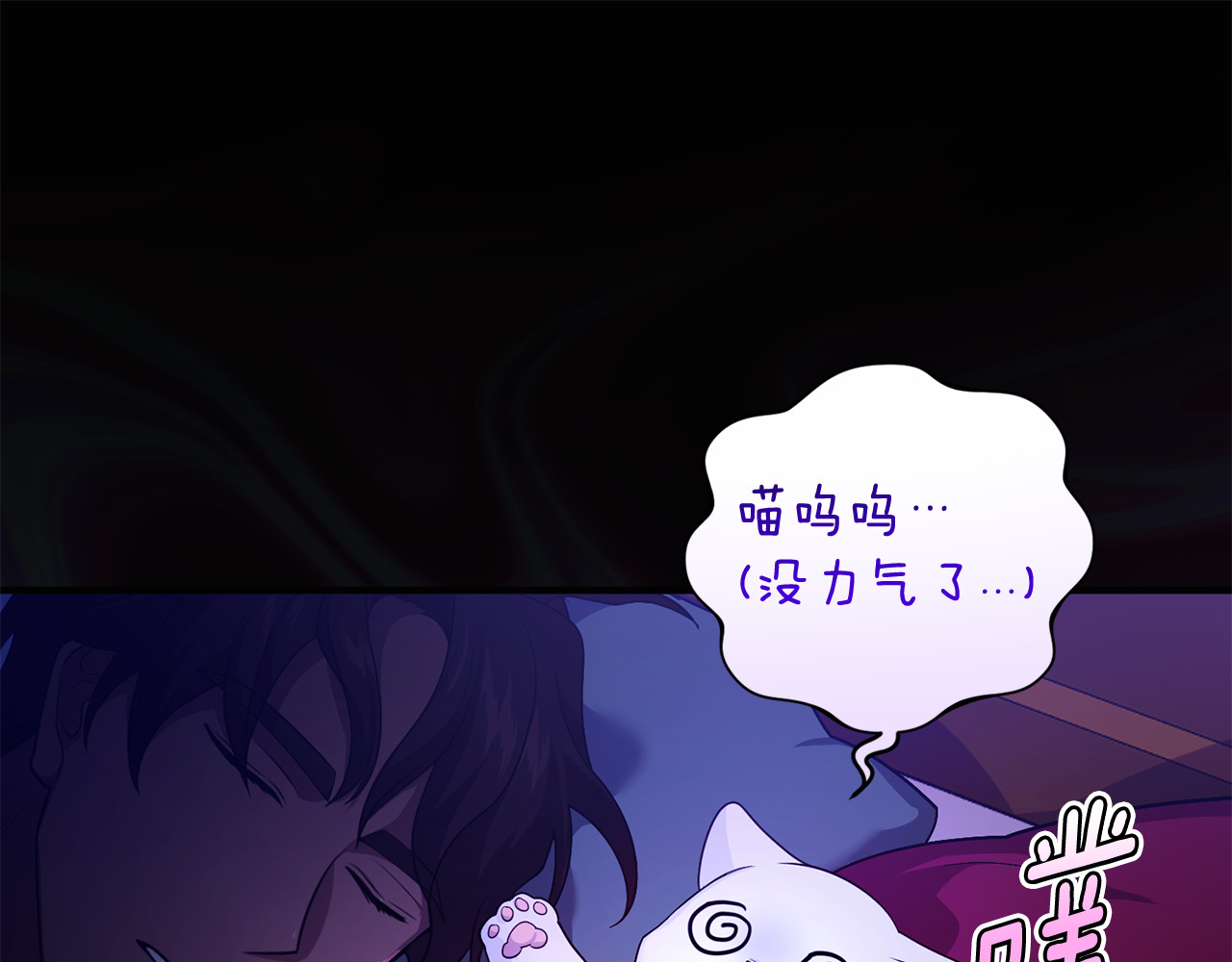 第7话 你是我唯一的猫 第 25 页