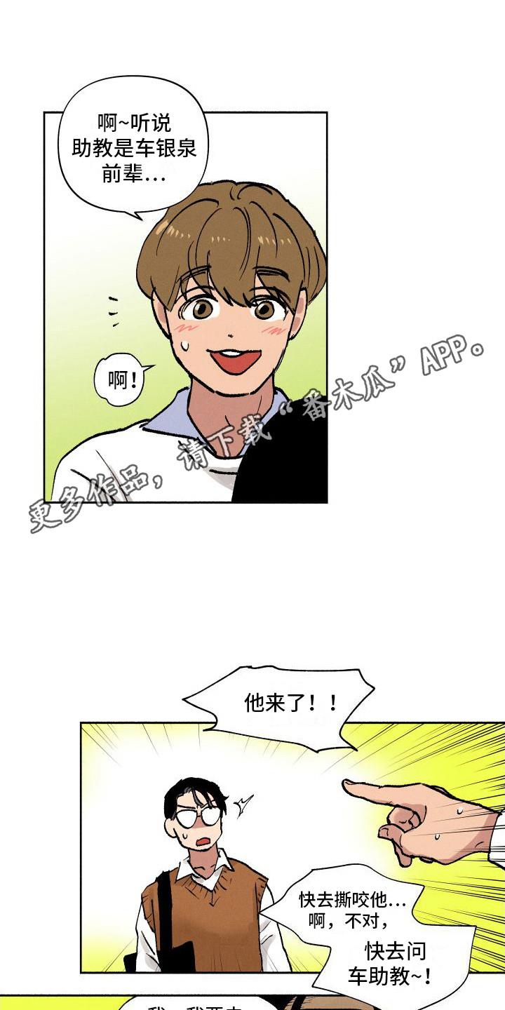 第4话 又见面了 第 5 页