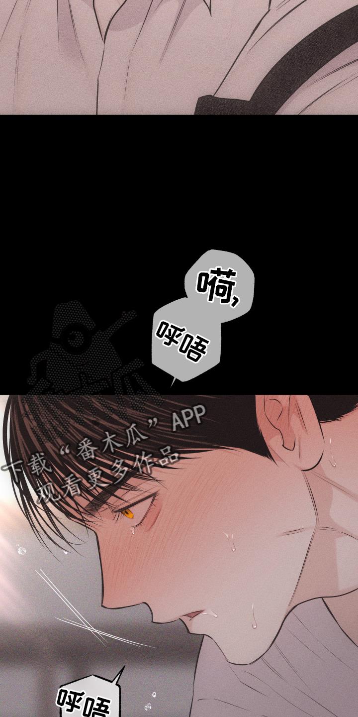 第50话 信号 第 12 页