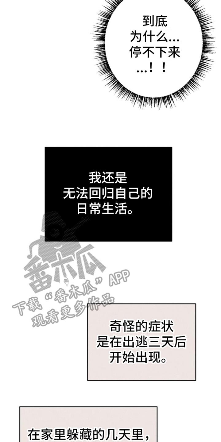 第17话 再次碰面 第 19 页