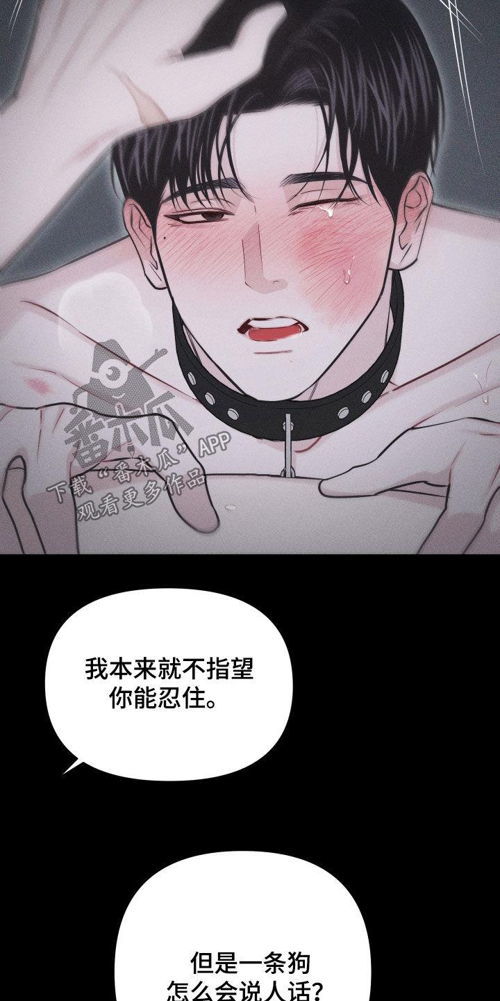 第56话 【第二季】怎么会说人话 第 38 页