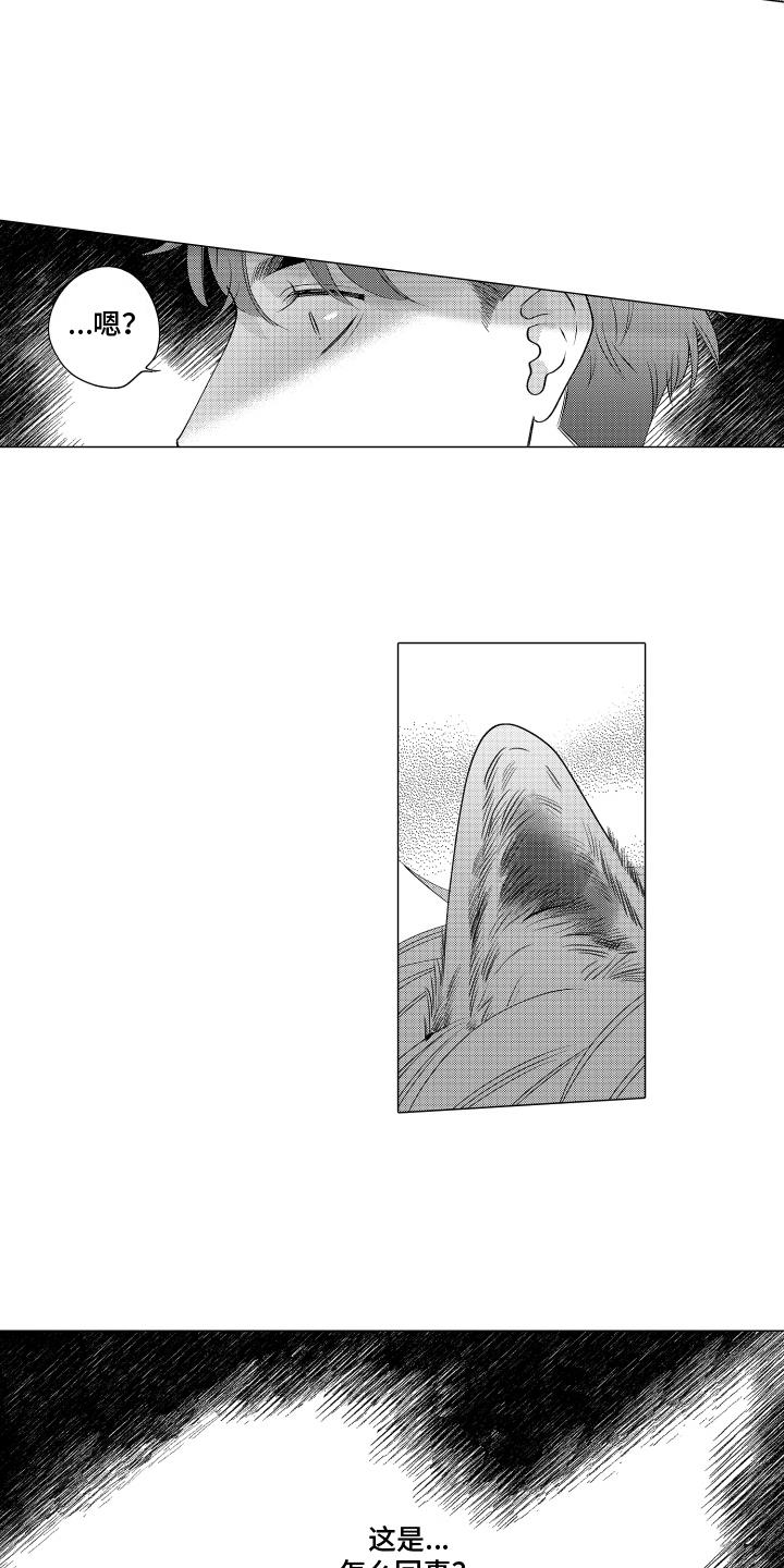 第3话 这是怎么回事 第 15 页