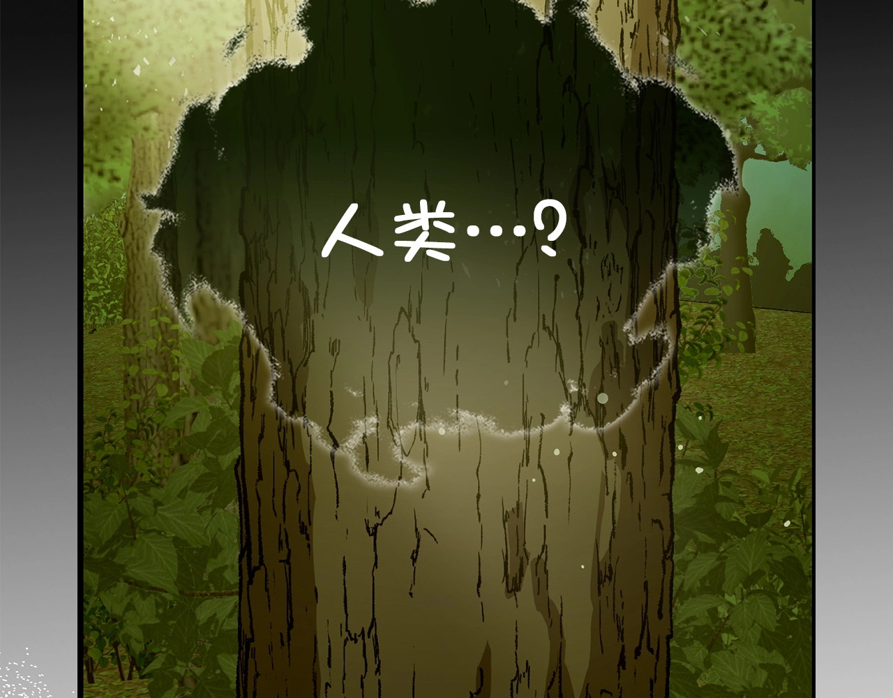 第11话 森林精灵 第 146 页