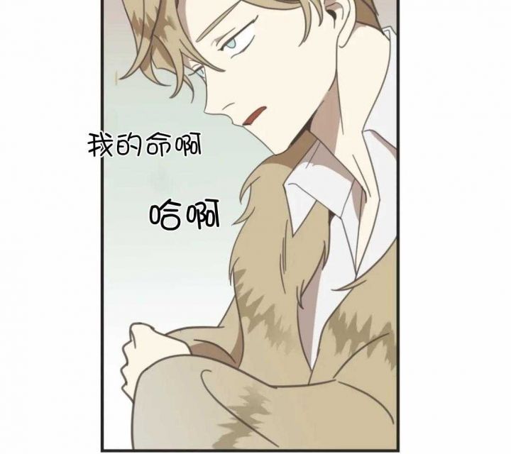 第204话 第204话 第 49 页