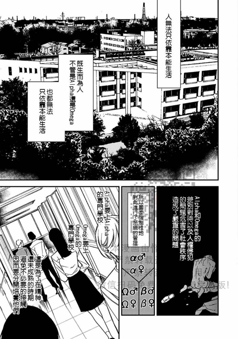 全 第 6 页