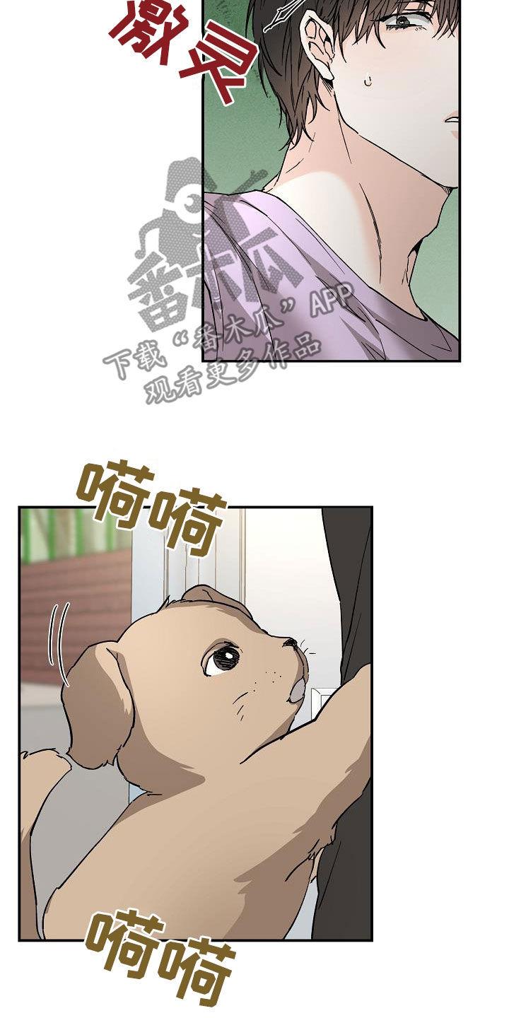 第111话 怕狗 第 13 页
