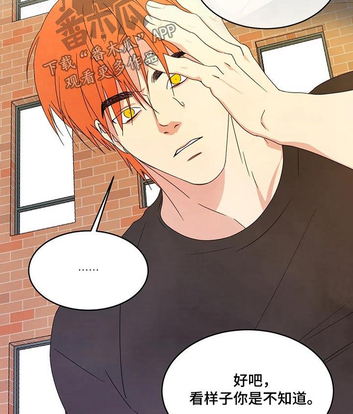 第40话 碰面 第 6 页