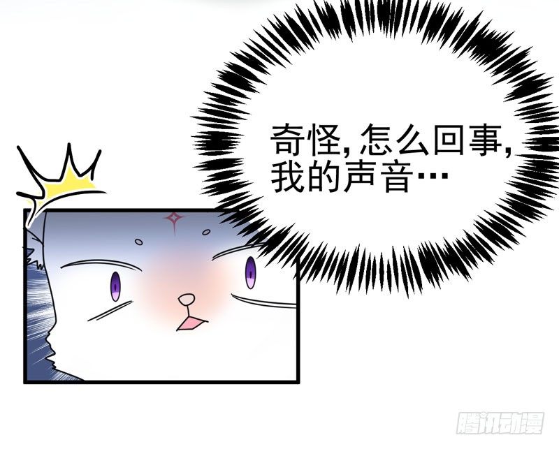 喵喵喵 第 24 页