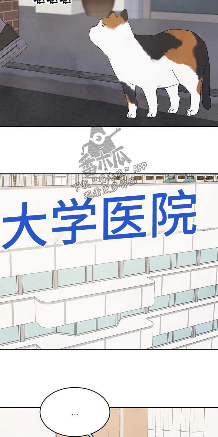 第178话 【第二季】爷爷 第 5 页