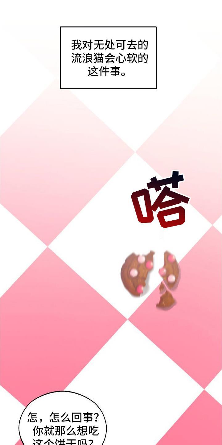第13话 第二个弟弟 第 13 页