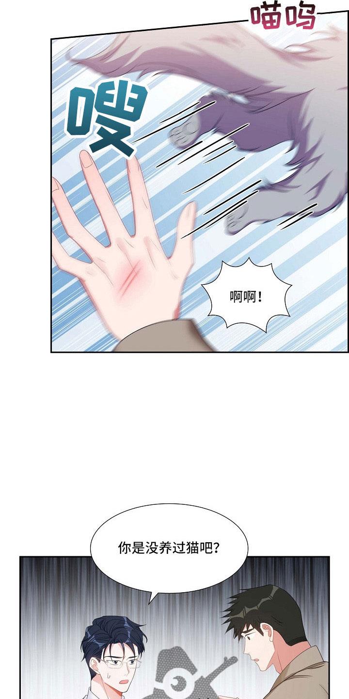 第63话 他的书 第 6 页