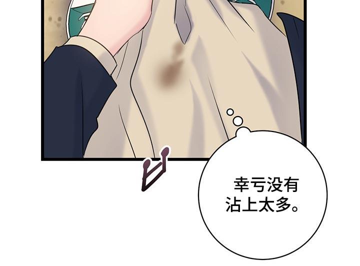 第31话 可爱的小动物们 第 13 页