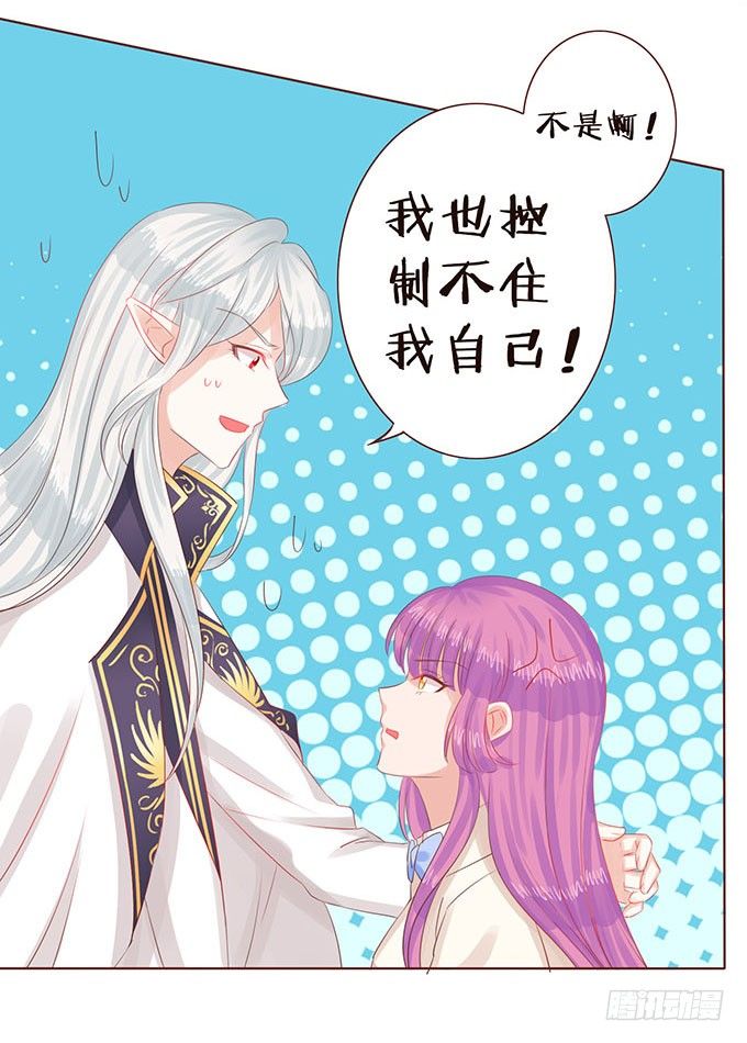 正式缔约 第 29 页