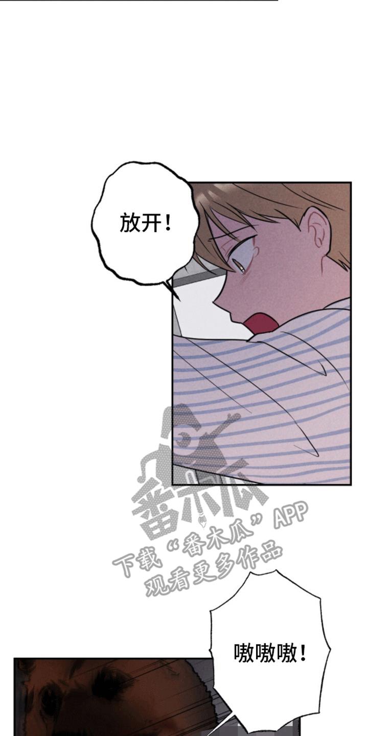 第29话 逃出 第 19 页
