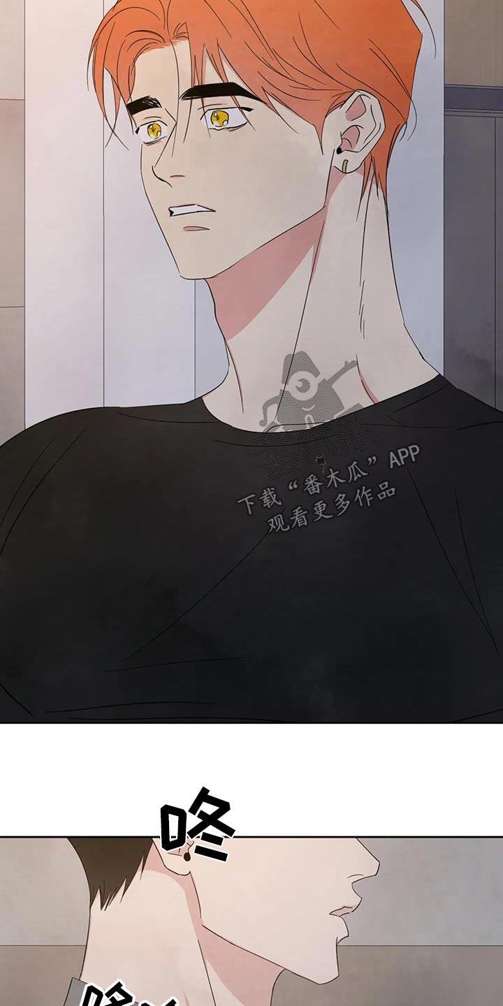 第195话 【第二季】察觉 第 19 页