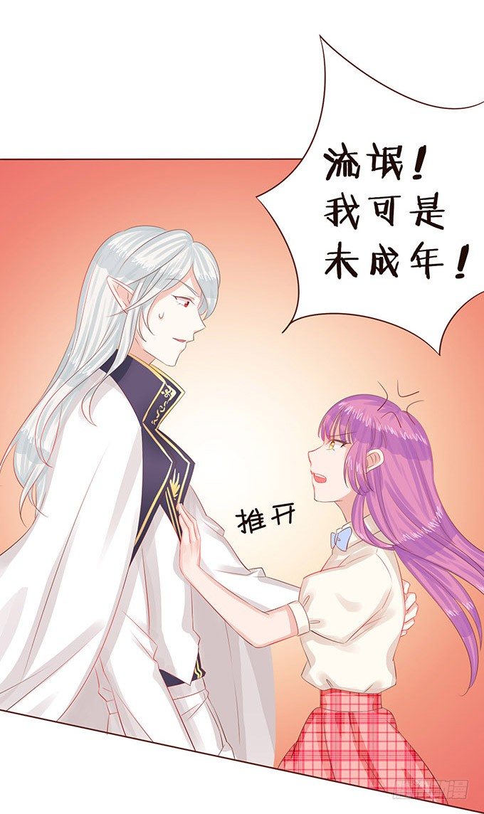 正式缔约 第 28 页