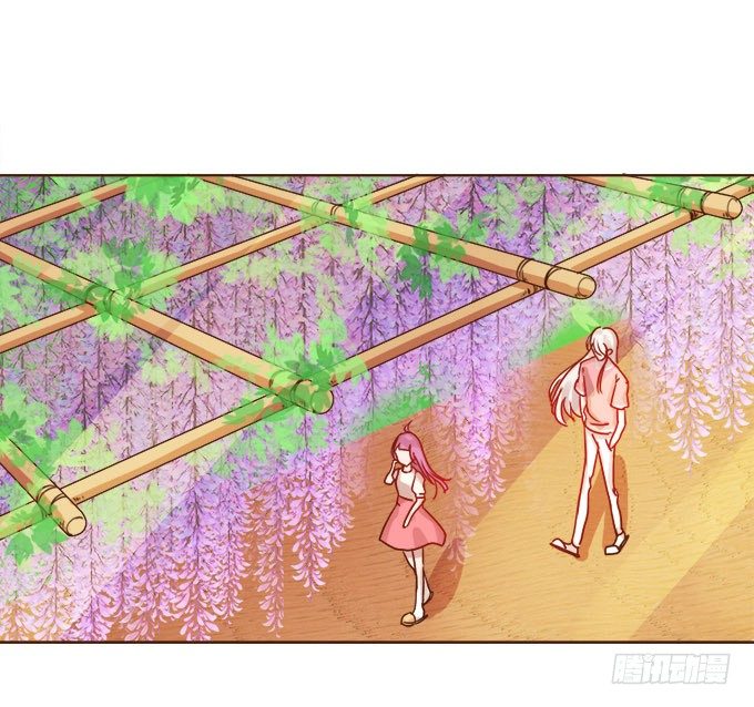 清风里的花瓣 第 24 页