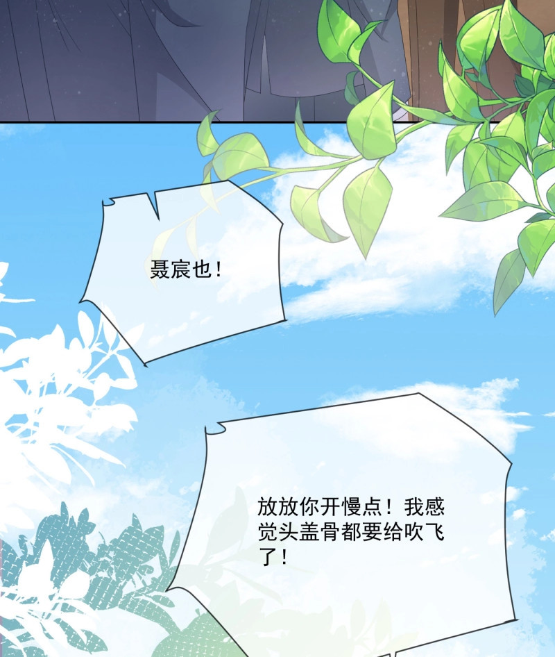 第153话 狗吃巧克力会死的 第 12 页