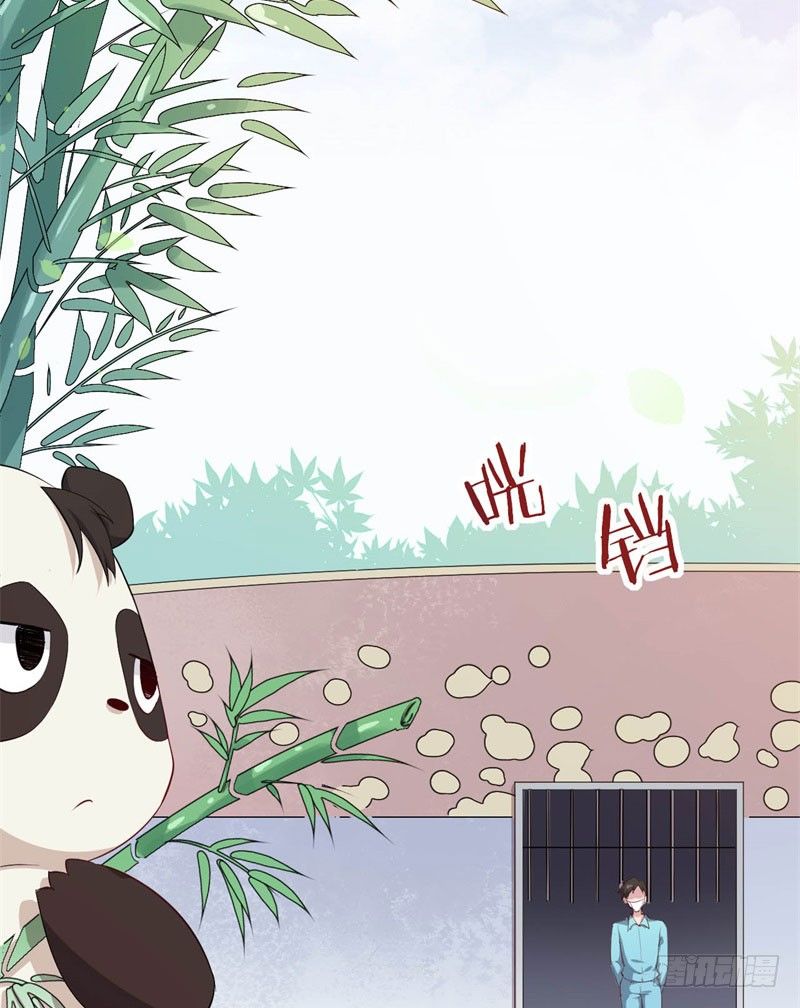 041黑眼圈不是坏妖怪（九） 第 15 页