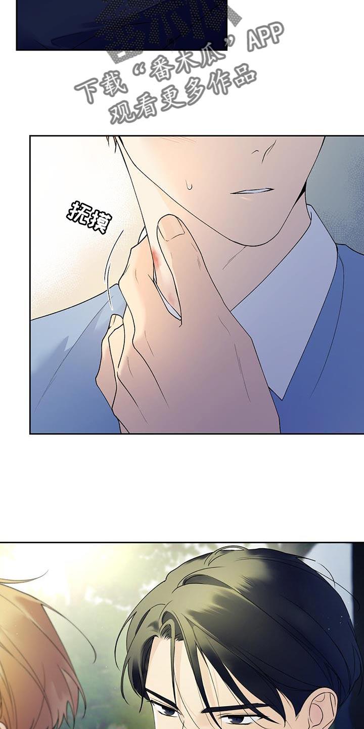 第43话 是我弄的 第 20 页