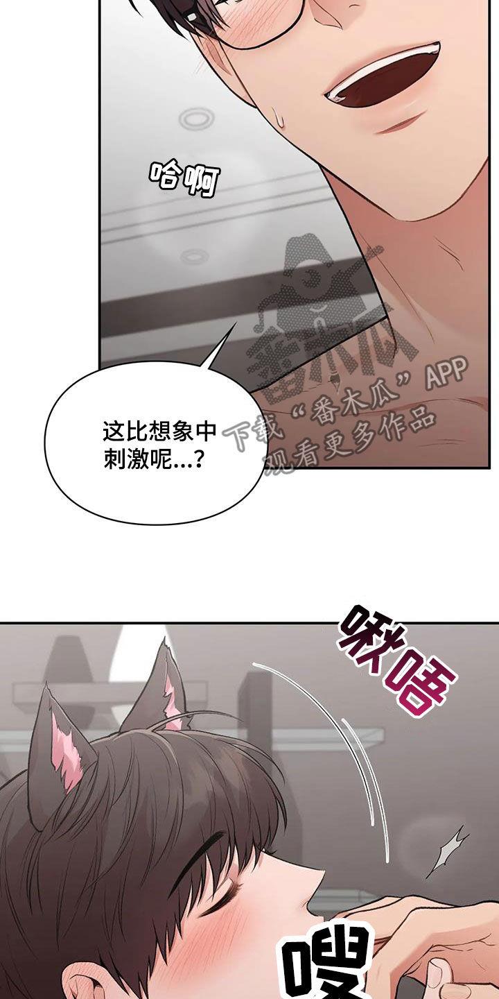 第53话 小猫咪 第 13 页