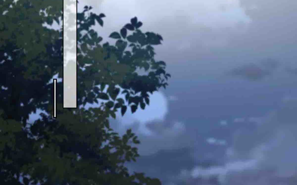 第51话 第 24 页