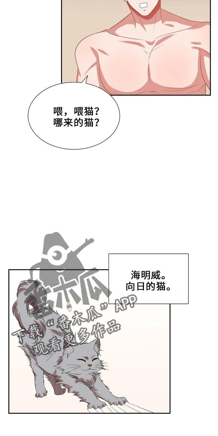第48话 喂猫 第 4 页
