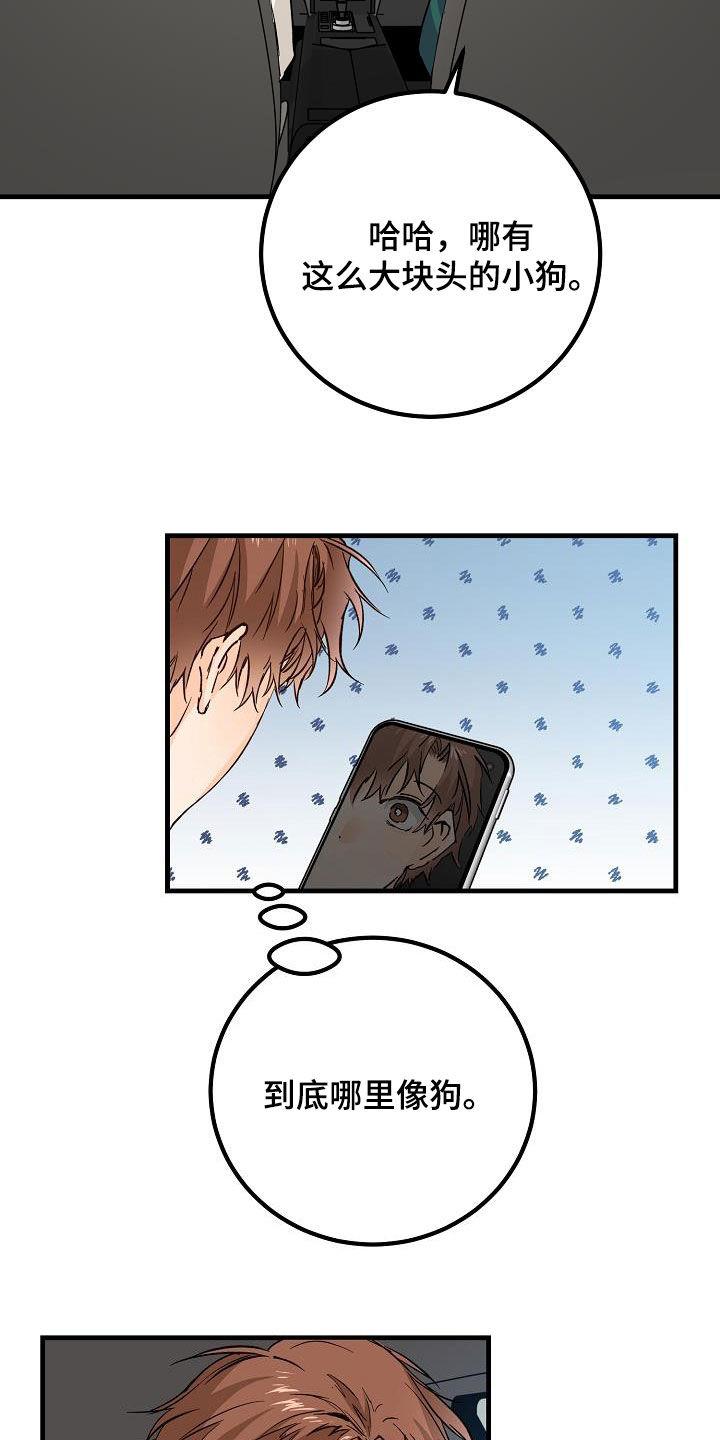 第38话 碰撞 第 15 页