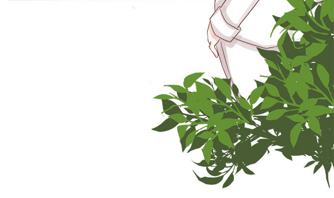 王子的赏赐 第 11 页