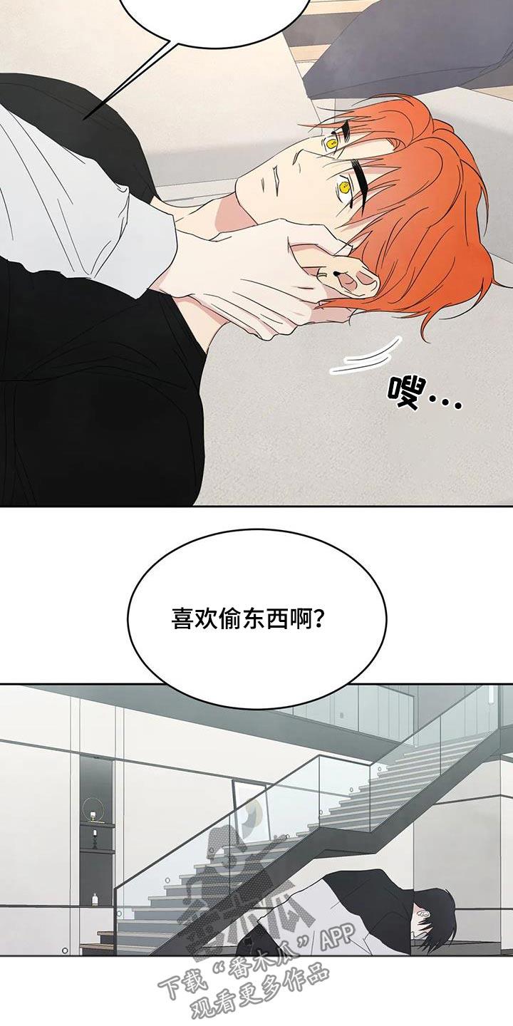 第186话 【第二季】说清楚 第 4 页