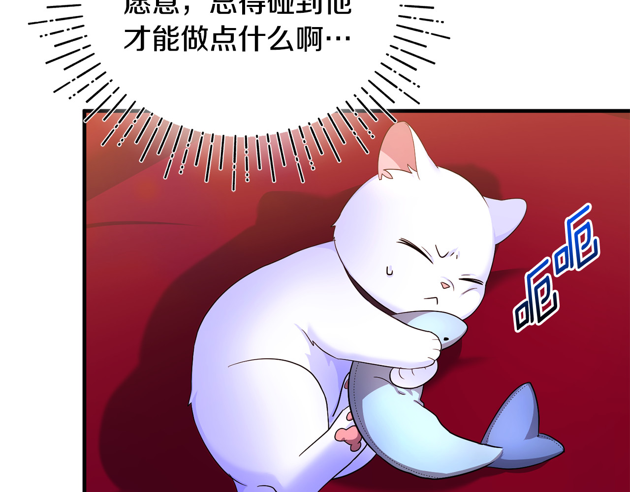 第6话 把猫大人留在身边 第 119 页